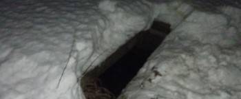 Следователи проверят брошенную яму под Череповцом, куда провалились девочка с собакой