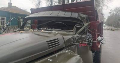 В Сумской области на учебное авто упало дерево: есть пострадавшие (фото) (5 фото)