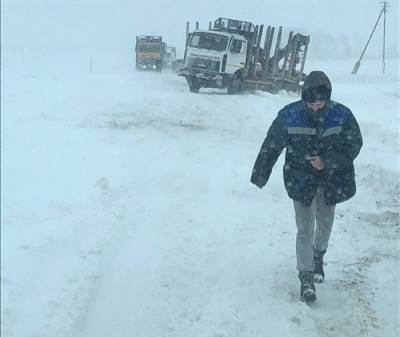 Циклон «Ларс» принес в Беларусь метель и снежные заносы