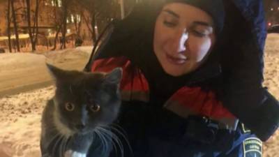 Шестиклассник помог достать кошку из воздуховода в Москве.
