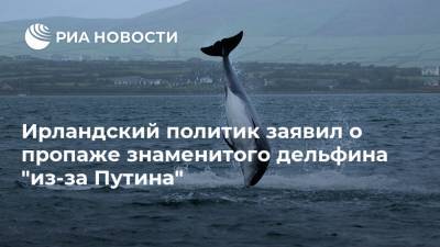 Ирландский политик заявил о пропаже знаменитого дельфина "из-за Путина"