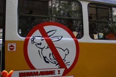 В Ярославле депутаты решили заняться «зайцами»