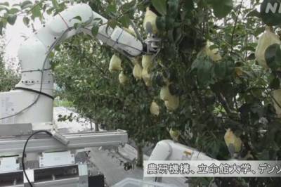 В Японии создали робота, который может собрать яблоки за 11 секунд