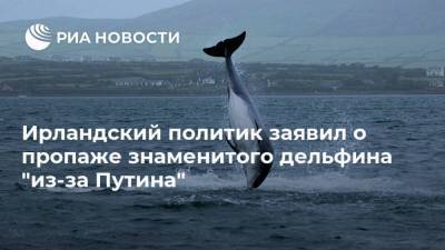 Ирландский политик заявил о пропаже знаменитого дельфина “из-за Путина”
