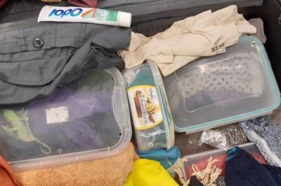 Спрятал в носках и коробках: в аэропорту Австрии у пассажира в багаже нашли 74 хамелеона (фото)