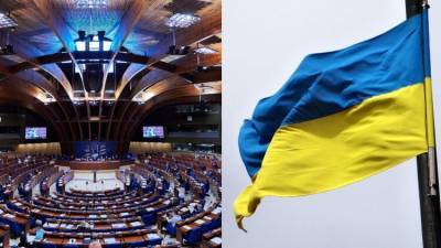 Журавко рассказал, кто начал «бузу Украины» против России в ПАСЕ