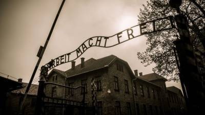 «Холокост — это миф»: ученый опроверг массовые убийства евреев в газовых камерах