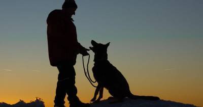 Ученые считают, что собаки впервые были одомашнены в Сибири