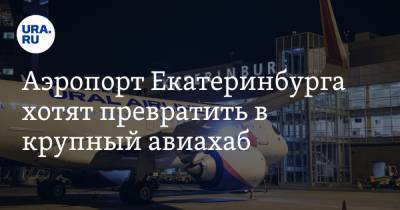 Аэропорт Екатеринбурга хотят превратить в крупный авиахаб