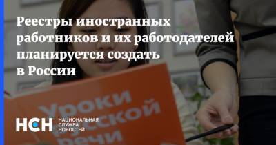 Реестры иностранных работников и их работодателей планируется создать в России