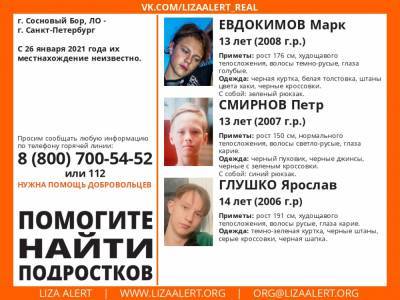 В Сосновом Бору и Петербурге ищут трех пропавших подростков