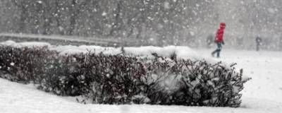 Ураганный ветер и снегопад: в Приморье объявлено штормовое предупреждение