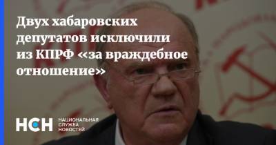 Двух хабаровских депутатов исключили из КПРФ «за враждебное отношение»
