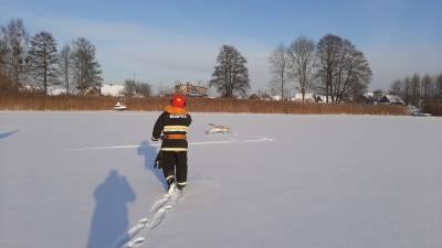 Рыболовы организовали операцию по спасению замерзавшего на озере лебедя