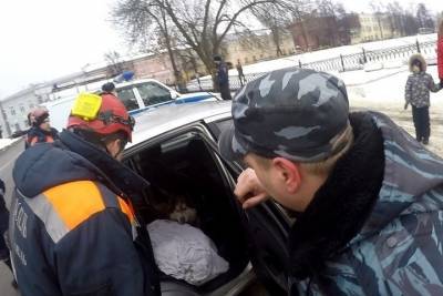 Ярославские спасатели помогли девушке выгнать из ее авто наглую собаку