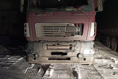 В Челябинской области водитель фуры сбил насмерть пешехода и скрылся с места ДТП