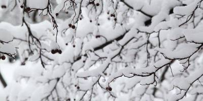 Зима вернется: синоптик рассказала, какие регионы засыплет снегом