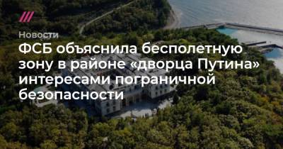 ФСБ объяснила бесполетную зону в районе «дворца Путина» интересами пограничной безопасности