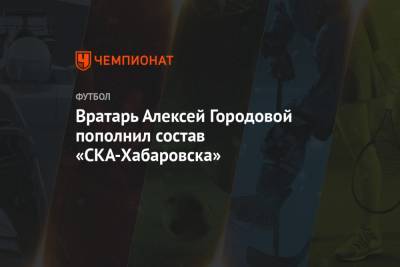 Вратарь Алексей Городовой пополнил состав «СКА-Хабаровска»