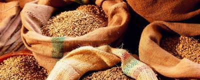 Правительство РФ утвердило размер экспортной пошлины на зерновые культуры