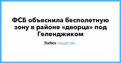 ФСБ объяснила бесполетную зону в районе «дворца» под Геленджиком