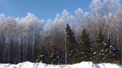 А снег идет. Очередные погодные перемены парализовали движение в Смоленске