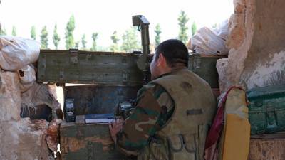 Сирийская армия уничтожила группу террористов в провинции Дейр эз-Зор