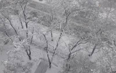 Снегопад из западной Украины добрался до Одессы