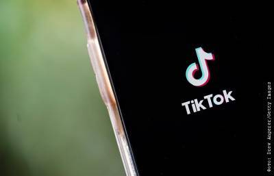 Комиссия Думы ждет на беседу главу представительства TikTok в РФ