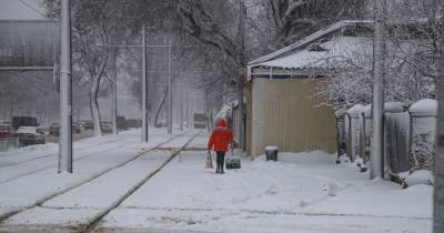 Погода в Украине: Одессу замело снегом, в Киеве готовятся к ухудшению погодных условий