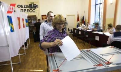 Политолог объяснил, кто выиграет от изменения выборных округов в Приморье