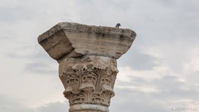 Севастопольские ученые обнаружили руины неизвестного науке античного порта - newdaynews.ru - Сирия - Севастополь - Тартус