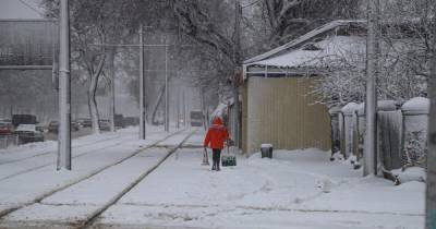 Сильный снегопад парализовал Одессу (ФОТО, ВИДЕО)