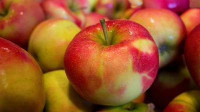 В Петербург не пустили 21 тонну белорусских яблок без печати в сертификате