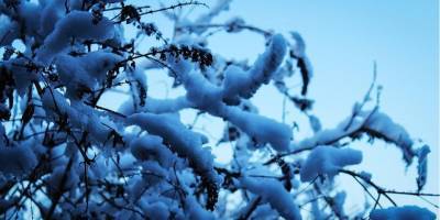 Прогноз погоды: в Украине ожидается снег с дождем и сильный ветер