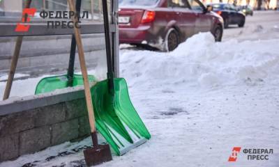 Жители Челябинска скинулись на расчистку дорог от снега