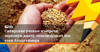 Сибирские ученые изобрели зерновую диету, спасающую отболезни Альцгеймера