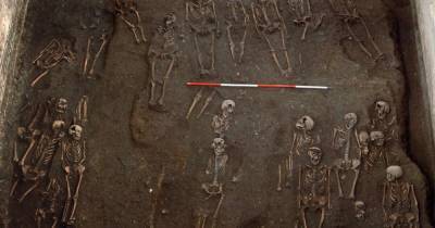 Древние скелеты показали, насколько жестокой была жизнь в Средневековье