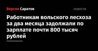 Работникам вольского лесхоза за два месяца задолжали по зарплате почти 800 тысяч рублей