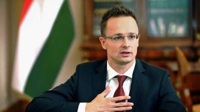 Это будет украинско-венгерская история успеха: Сийярто о планах Венгрии о Закарпатье