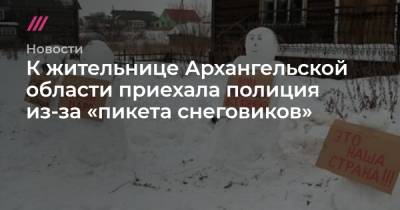 К жительнице Архангельской области приехала полиция из-за «пикета снеговиков»