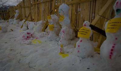 Жительницу Архангельска задержали за «митинг снеговиков»