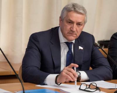 Леонид Огуль прокомментировал закон о "гаражной амнистии"