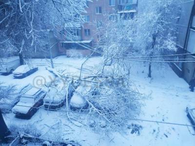 Одессу засыпает снегом: Объявлен желтый уровень опасности