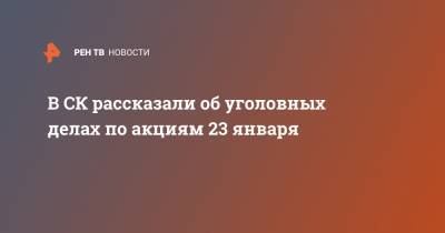 В СК рассказали об уголовных делах по акциям 23 января