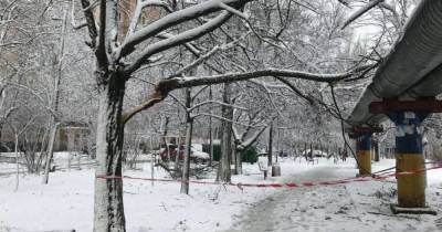 Падают деревья, населенные пункты обесточены: в Одессе сильная метель, красный уровень опасности (фото, видео)
