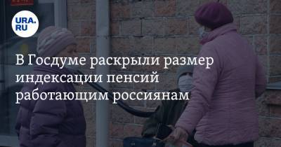 В Госдуме раскрыли размер индексации пенсий работающим россиянам