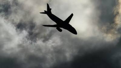 Украина обратилась в Интерпол из-за полётов самолётов в Крым