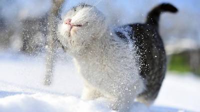 Снег и гололедица: прогноз погоды во Львове и области на 28 января