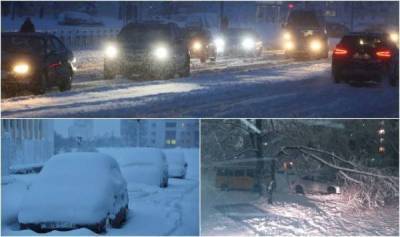 Гродно и область завалило снегом: 10-балльные пробки, упавшие деревья, коммунальники на дорогах